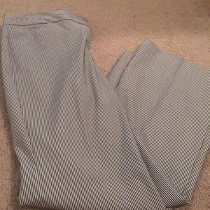 Express Editor Dress Pants